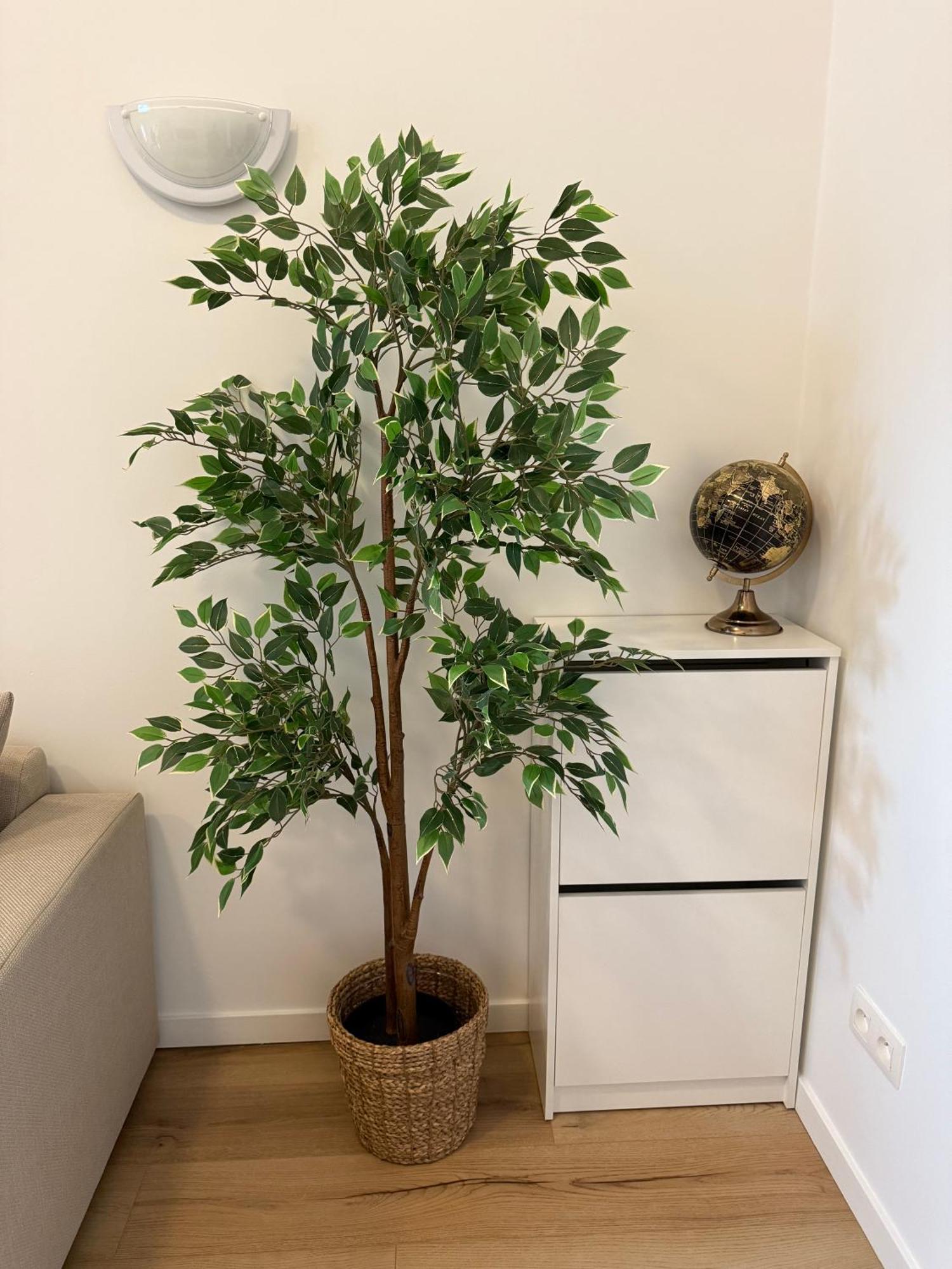 Cozy South-Up Apartment Brussels Exterior photo